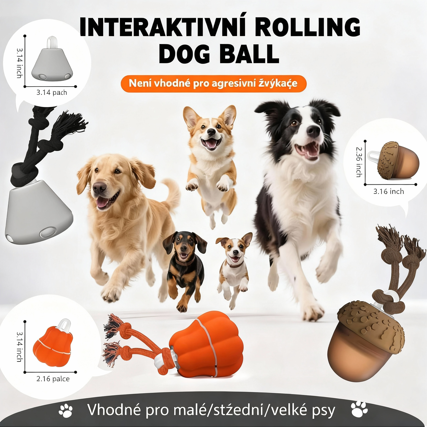 Pohybující se šiška🐶 Konečný zimní spaluč energie pro psy
